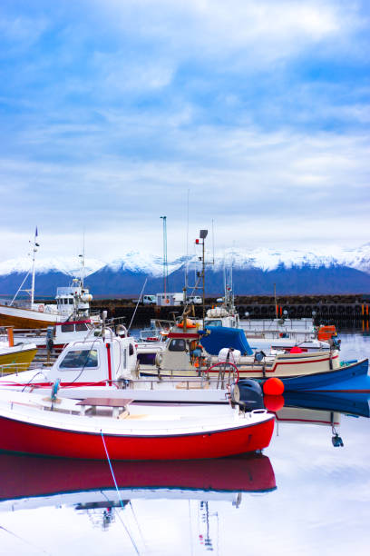istock Dalvik, Iceland: Boats in Harbor, Snowy Mountain Background 1181860776