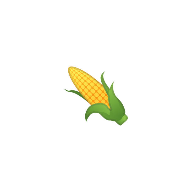 ilustraciones, imágenes clip art, dibujos animados e iconos de stock de oreja de icono vectorial de maíz. maíz aislado en la mazorca emoji realista, ilustración de emoticonos - corn corn crop corn on the cob food