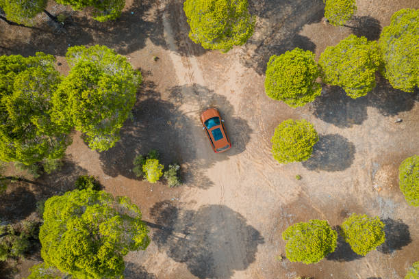 荒野の曲がりくねった森林道路上の車の航空写真 - car winding road highway autumn ストックフォトと画像