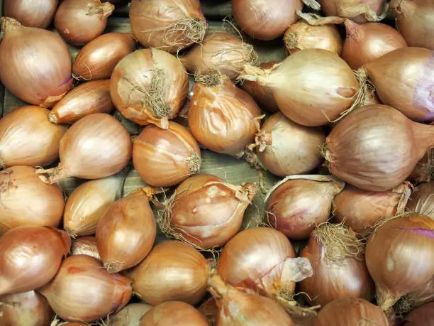 a close up of small organic misshapen brown onions for sale on a market