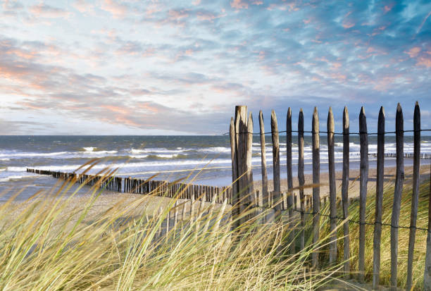 istock beautiful sunset on the dunes 1181868764