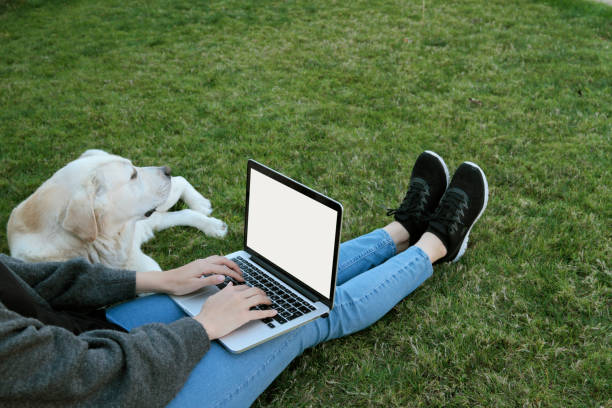istock Close-up woman texting using her laptop near dog 1181868904