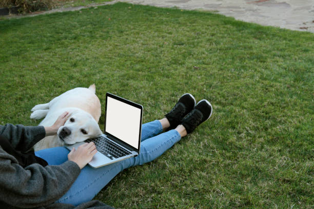 istock Close-up woman texting using her laptop 1181870220