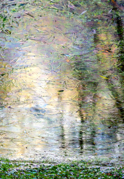 istock Ice on a puddle surface and autumn leaves under it, lit by the setting sun as an abstract background 1181872266