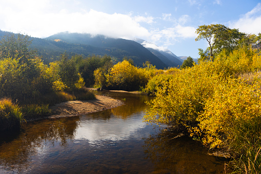 Tranquil Mountain Stream Autumn Scenic Landscape - Wilderness nature area with crystal clear pristine waters flowing softly through valley with colorful autumn hues and fall foliage. Tranquil zen-like healing nature.