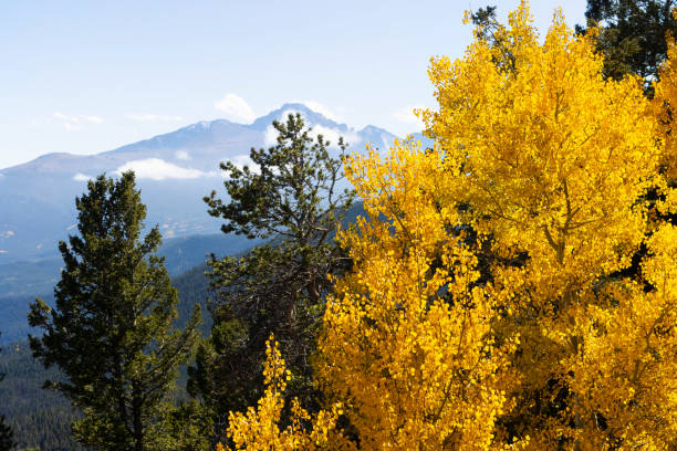 istock Autumn in the Rockies 1181872718