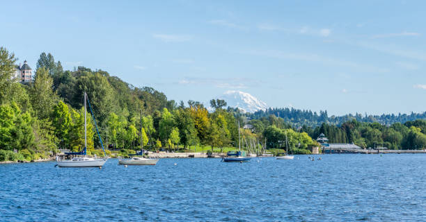 istock Renton Park Lake Shoreline 2 1181876291