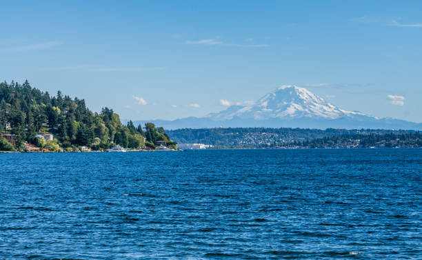 istock Lake And Park Landscape 2 1181876296