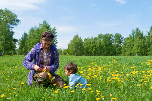 boy and mother collecting dandelions in a field