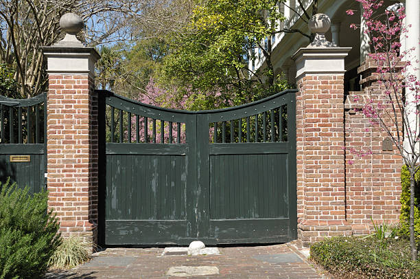 istock Charleston, South Carolina 118187982