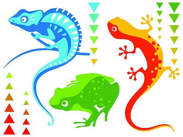 Vector illustration of reptiles and amphibian