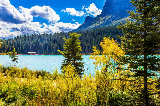 Glacial Lake Louise in Banff, Canadian Rockies. The lake with azure water is surrounded by mountains and forests. Beautiful fine day. The concept of ecological, active and photo tourism