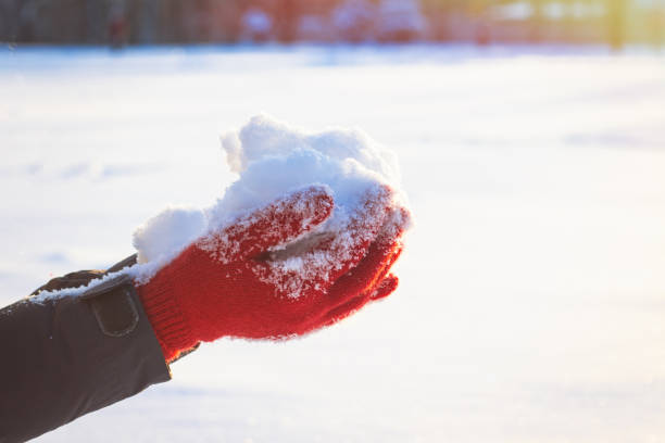 istock Women's Hands in Red Gloves hold snow on their palms. Winter Con 1181888310