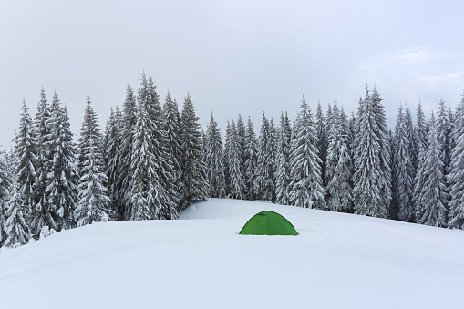 In the forest on the lawn green touristic tent stands with wide path to it. Amazing landscape on the cold winter day. Location place the Carpathian Mountains, Ukraine, Europe.