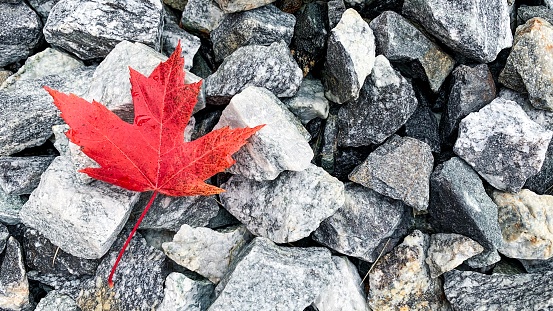 One red maple leaf resting on rocks on the ground on a cloudy October day.