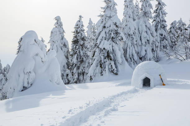 広いトレイルは雪のイグルーに通じる。冬の山の風景。場所はカルパチア山脈、ウクライナ、ヨーロッパを配置します。 - hut winter snow mountain ストックフォトと画像