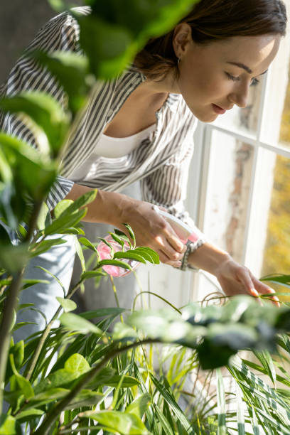istock Attractive concentrated young female spraying her plants 1181891779