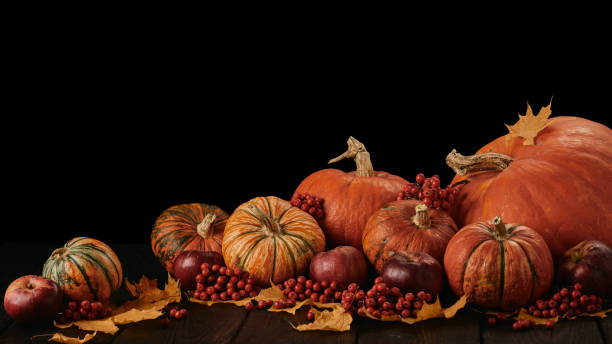 istock Thanksgiving background. Autumn harvest 1181892060