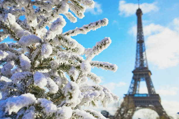 istock Christmas tree covered with snow near the Eiffel tower 1181895798