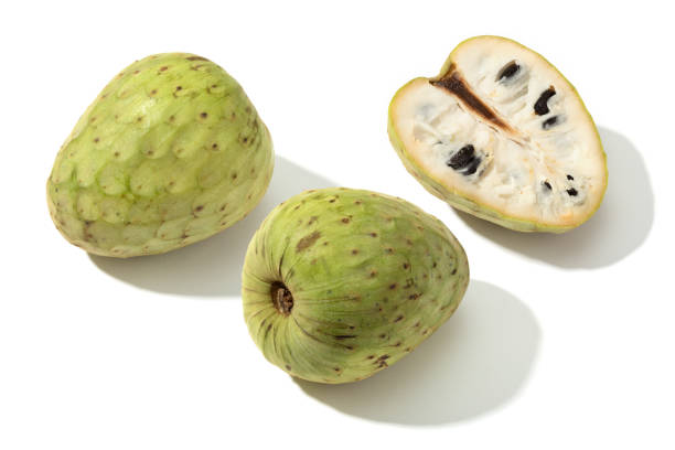 Custard apple isolated on white background Custard apple isolated on white background. Annona reticulata annona reticulata stock pictures, royalty-free photos & images