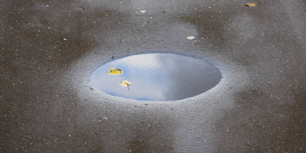 istock Autumn leaves in a puddle 1181898595
