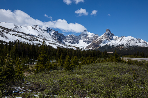 Landscape of the Icefield Parkway in Jasper National Park of Canada
