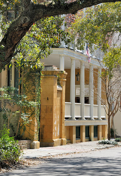 istock Historic Charleston, South Carolina 118190017