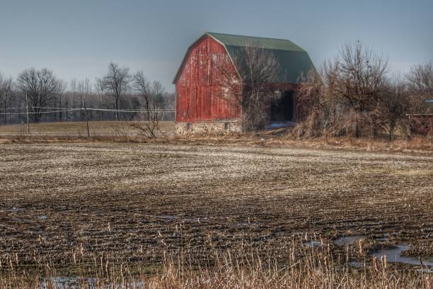 Bowers Road Goodland Red