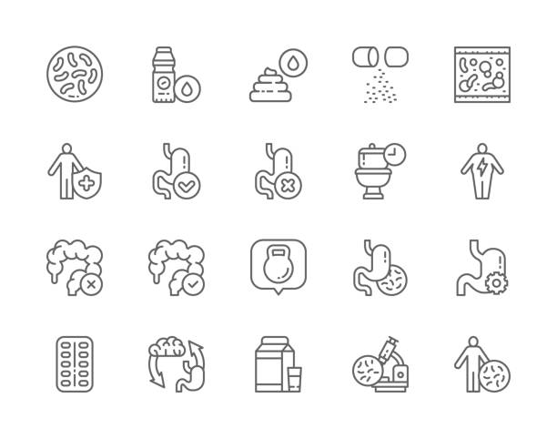 Set of Probiotic Line Icons. Lactobacilli, Bifidobacteria, Vitamins, Immune System, Intestines, Stomach Treatment and more. Set of Probiotic Line Icons. Lactobacilli, Bifidobacteria, Vitamins, Immune System, Healthy Stomach, Abdominal Distension, Intestines, Stomach Treatment and more. probiotic pattern stock illustrations