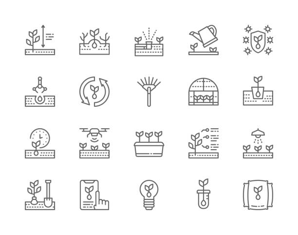 ilustrações de stock, clip art, desenhos animados e ícones de set of planting line icons. weed control,  watering can, recycle plant, rake, greenhouse, agriculture and more. - greenhouse