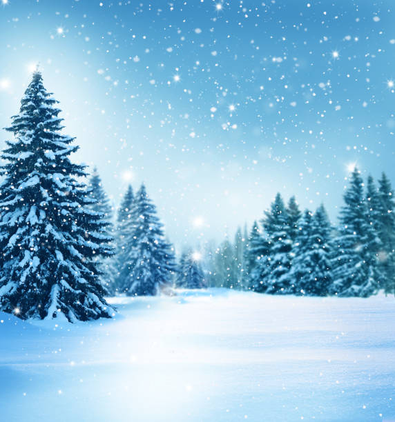 雪の美しい冬の風景には、木が覆われています。クリスマス背景 - winter snow non urban scene tree ストックフォトと画像