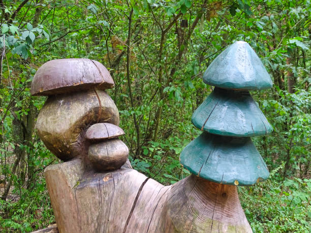 Wooden mushroom and tree carved out of a tree stump.