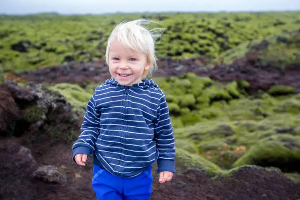 Photo of Smiling toddler child, boy, posing in front of beautiful wooly moss on a rainy day in Iceland