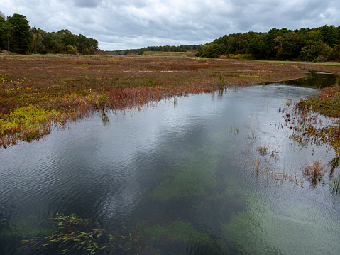 River or stream running through a large rural Massachusetts cranberry field in autumn bordered by wooded land on both sides under a stormy sky
