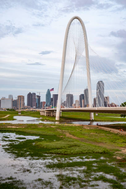 istock Dallas skyline looking from flooded Trinity River 1181912260