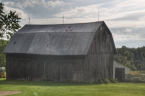 istock 0310 - Rich Road's Old Grey 1181913264