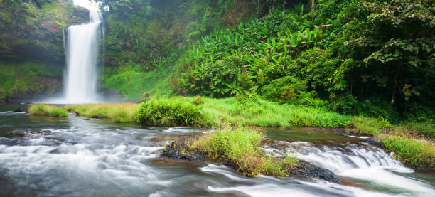 istock Picturesque tropical waterfall on rain morning. 1181913520