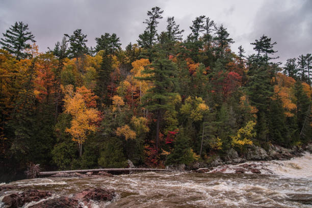 istock Autumn time at Chippewa Falls in Batchawana Bay, Ontario, Canada 1181914242