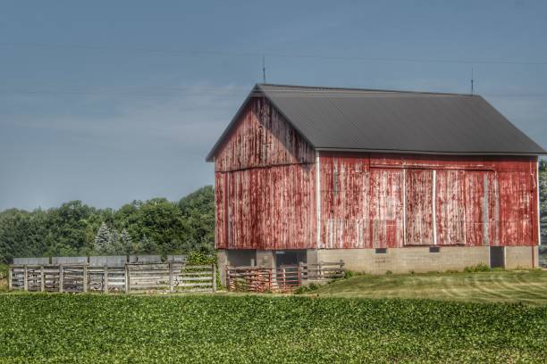 istock 0360 - North Lake Pleasant Red Cow Barn 1181914639