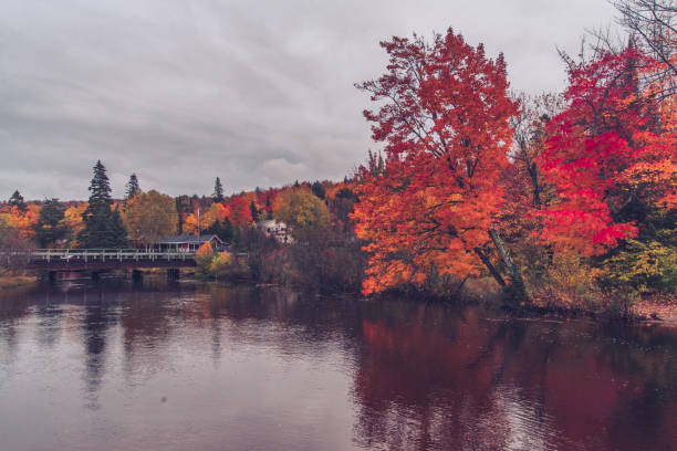 istock Autumn View - Harmony, Ontario, Canada 1181914706
