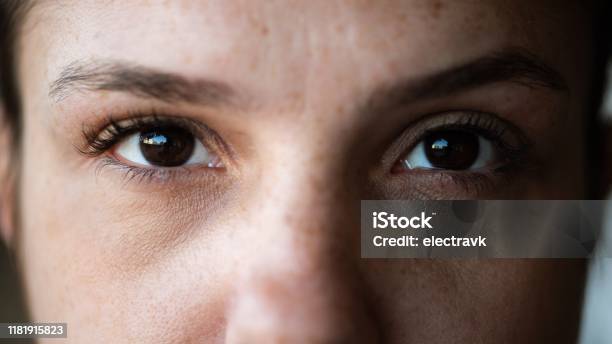 Closeup Of Woman Looking Directly At The Camera Stock Photo - Download Image Now - Close-up, One Woman Only, Looking