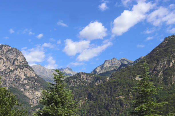 istock summer in the European Alps 1181916026
