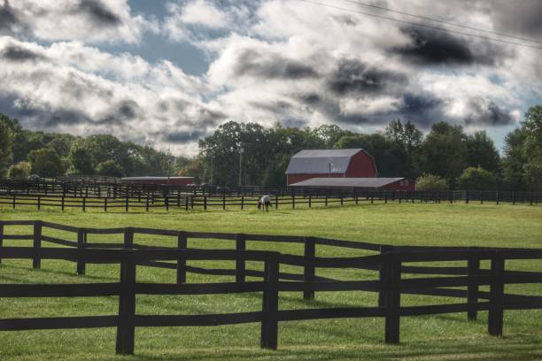 istock 0391 - Hosner Road Farm 1181916396