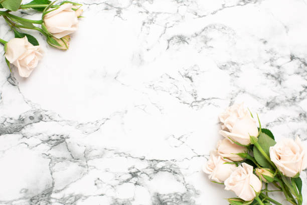 Beautiful white roses flower on marble background with copy space for your text