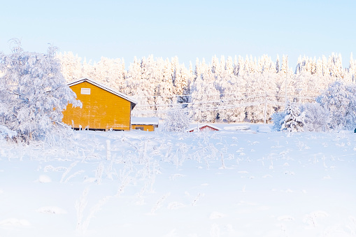 Winter snowy landscape. Wooden yellow house and forest covered by snow. The bright morning sun of a frosty morning. Rural landscape of Lapland.