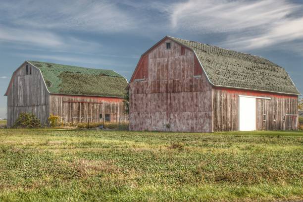 istock 0457 - Vassar Twin Reds 1181920836