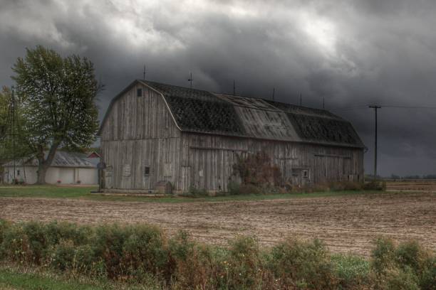 istock 0462 - Waterman Road Grey II 1181921018