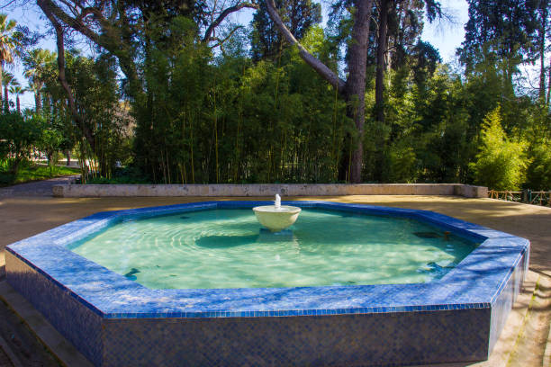 istock Emir's Garden in Fez Morocco. Sunny  day 1181921083