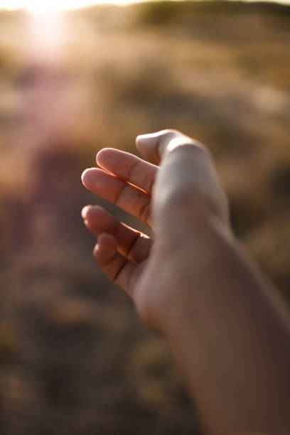 istock Hand close up in golden hour 1181921100