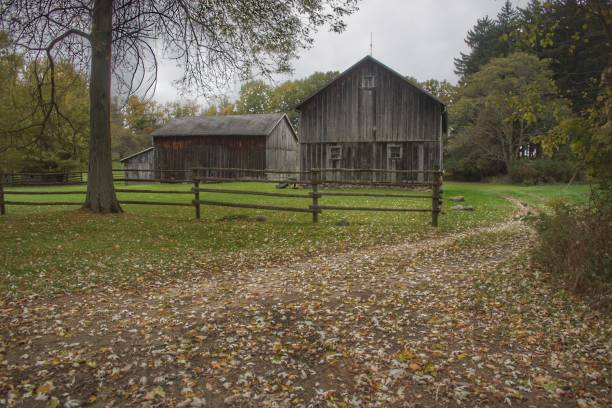 istock 0473 - Wilder Road Greys II 1181921258